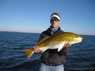 Alex with a nice Pensacola Redfish