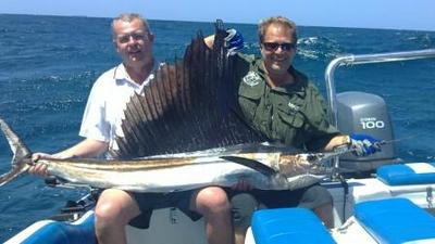 Sailfish off Durban (Released)