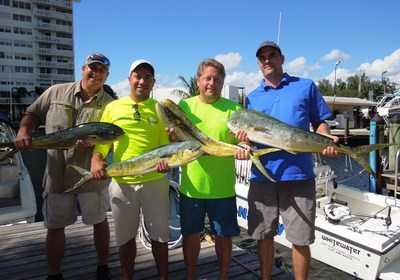 Dolphin dinners and sandwiches