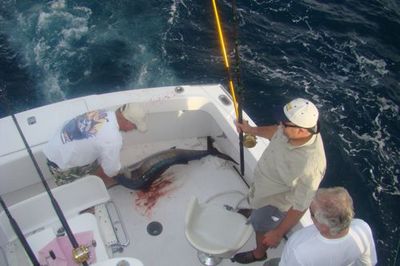 Captain Taco (954) 764-4344 or toll free @ (877) Sea-4344