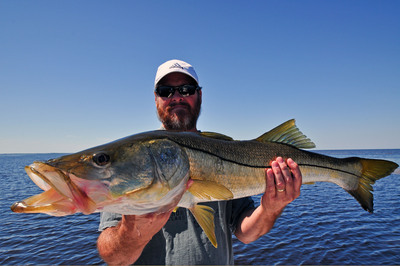 David Riser with a 38 inch snook caught and released in Charlotte Harbor