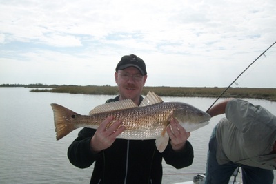 shoreline redfish