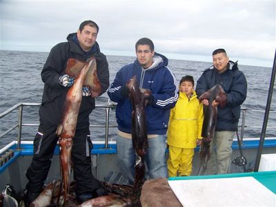 Squid newbies no more!