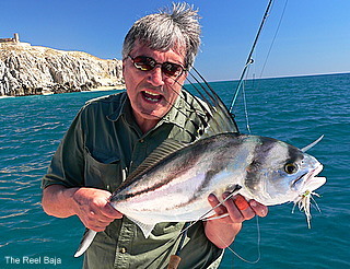 Tom Green with a nice fly caught rooster fish.  Tom was fishing with The Reel Baja