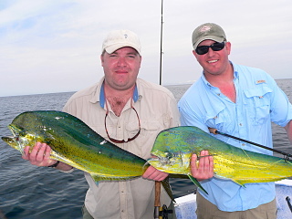 Above is Nick Williams and his friend Matt showing off just two of the many dorado they caught while fishing with me this past week.