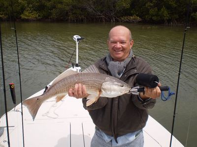 Clearwater redfish