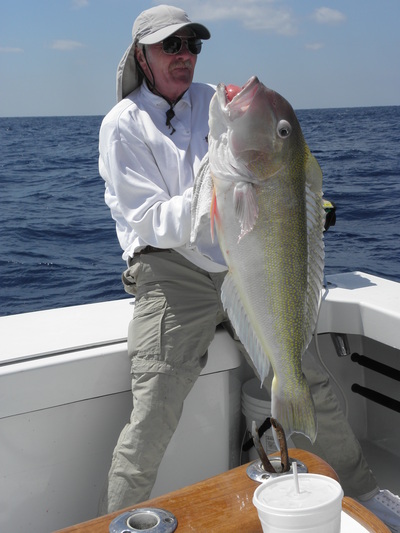 Golden Tilefish