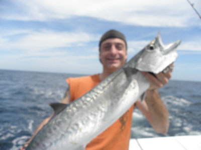 Nice Kingfish
