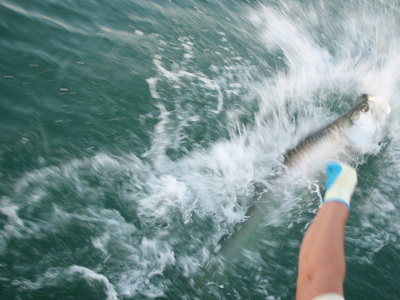 This was the first cast of the day!