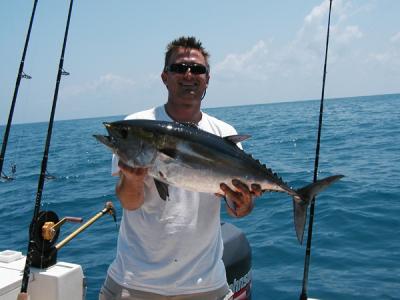A nice Blackfin Tuna