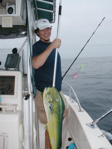 Steve's First Dolphin