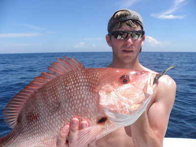 Genuine red snapper on the Last Mango