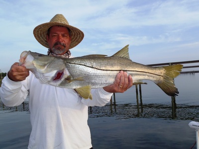 big snook