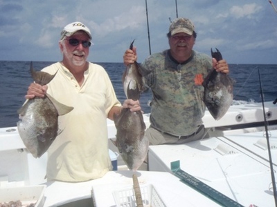 We had a great catch for just 3 guys fishing!  Some big Triggers!