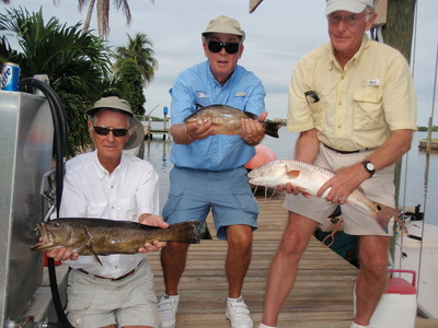 Grouper, snapper and redfish caught in the shallows