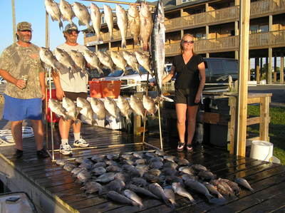 Triggers,Tilefish,Groupers,Wahoo