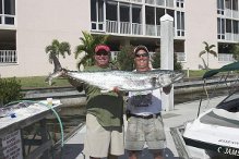 Huge Kingfish, hard fighters