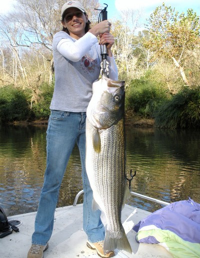 A nice 38.5lb Lanier Striper