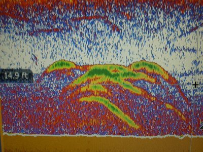 BIG Stripers on the graph!