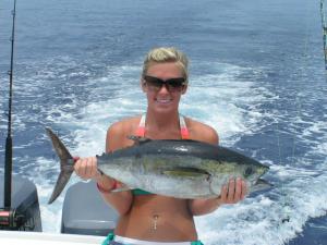 Blackfin from a Bahamas Corner Trip