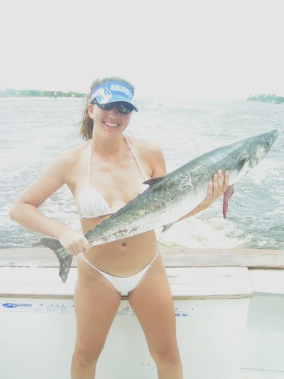 kingfish