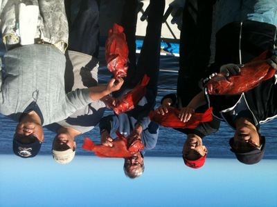 For those that like Vermillions, Happy Day!