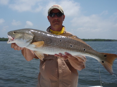 Over Size Redfish!