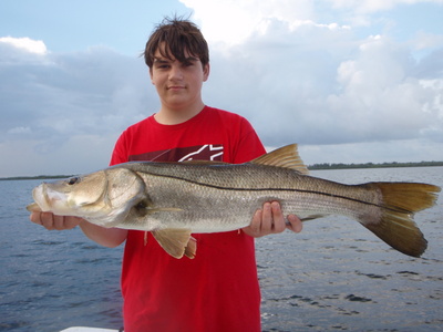Biggest Snook Of The Season So Far!