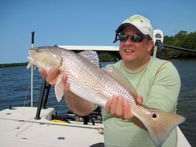 Paul Browring, from the UK, with a nice red caught and released on a CAL jig with a shad tail while fishing the Terra Ceia area with Capt. Rick Grassett.