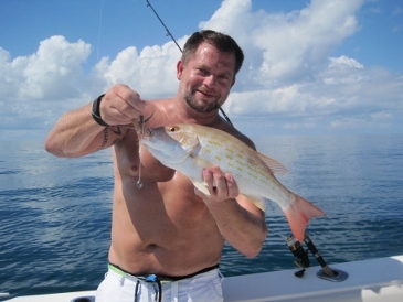17 1/2-inch lane snapper