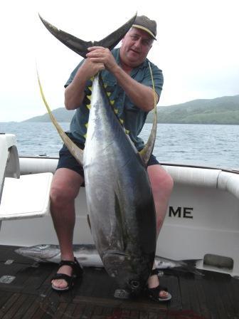 Yellow fin tuna 'by catch'