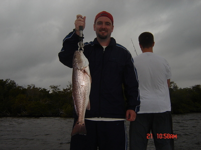 redfish