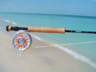 Calm surf this morning!