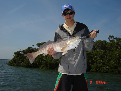 redfish