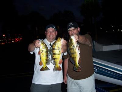 More peacock bass we caught today