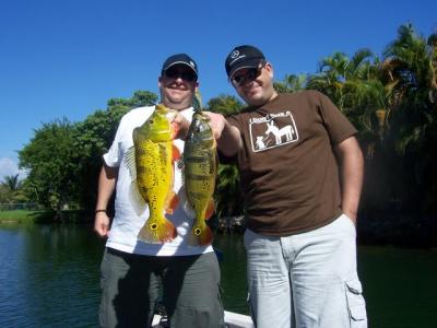 Peacock Bass Pictures taken in Miami, Florida