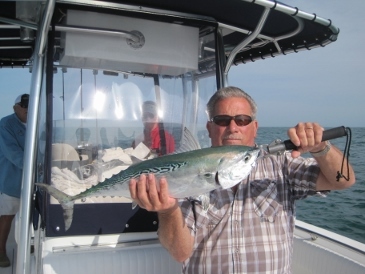 26-inch bonito, released