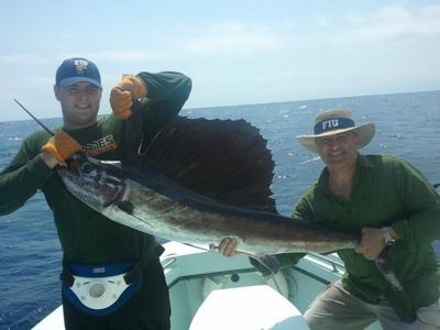 Quick Pic prior to release