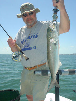 Randy Ruskey's Sarasota Bay fly bluefish