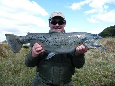 Record Seatrout