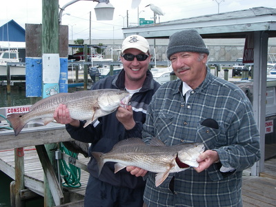 Redfish aka  Red Drum