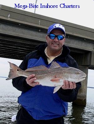 This nice redfish hit a Exude RT Slug Golden Bream on a 1/4 oz Jig Head