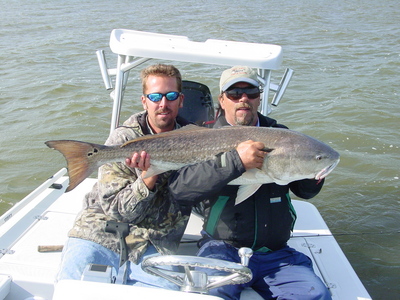 Mosquito Lagoon BULL!