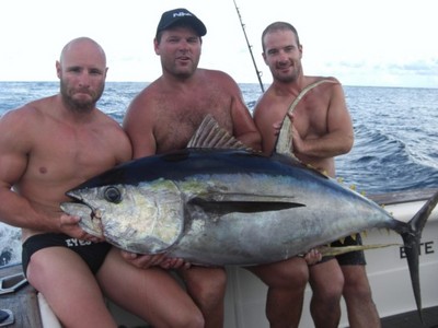 Yellowfin Tuna