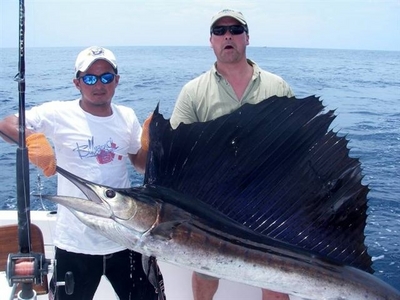 Richard Bernier Sailfish