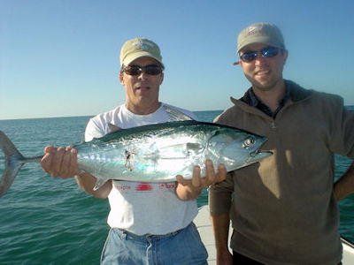 Robb McDonald, from OK, with a nice little tunny caught and released in the coastal gulf off Siesta Key while fishing with Capt. Rick Grassett.