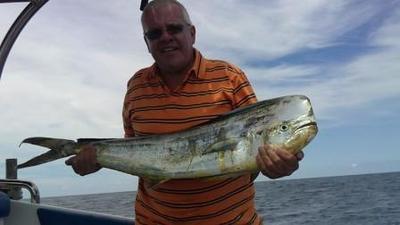 Bull Dorado (Mahi Mahi)