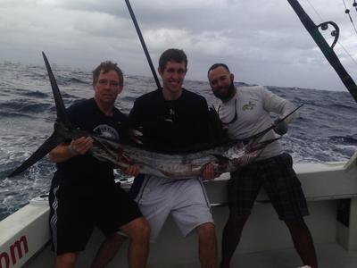 Sailfish caught in sloppy seas