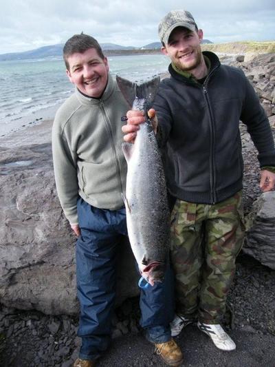 Wild Atlantic Salmon.