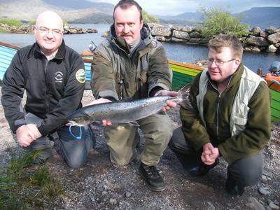 Wild Alantic Salmon